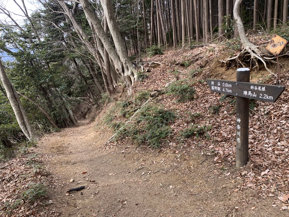 高尾山～陣馬山 縦走の写真11