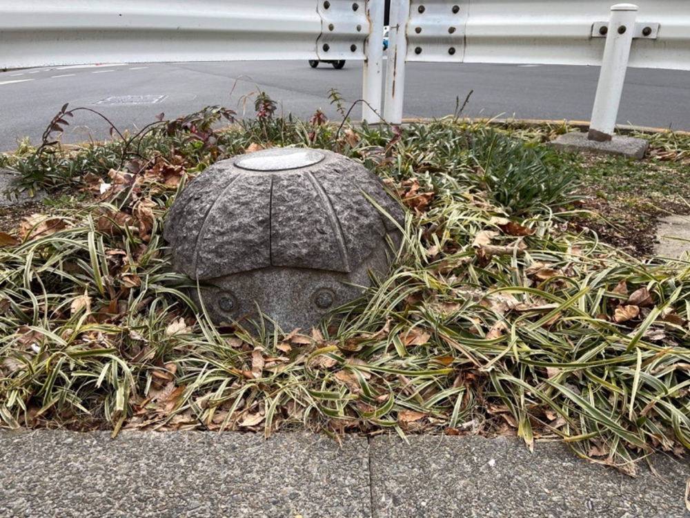 東京マラソン2021コース序盤試走　河童を探せ 新宿〜うさぎやどら焼きの写真5