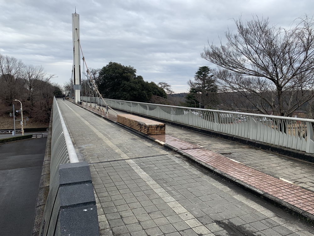 多摩湖 全周コースの写真4