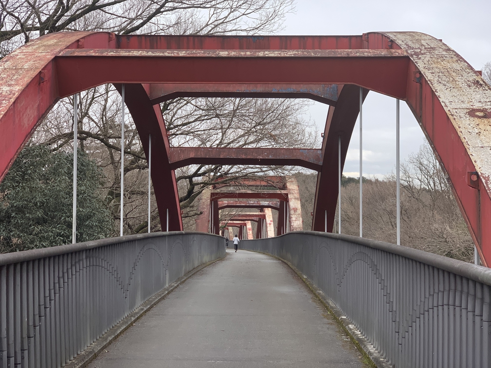 多摩湖 全周コースの写真5