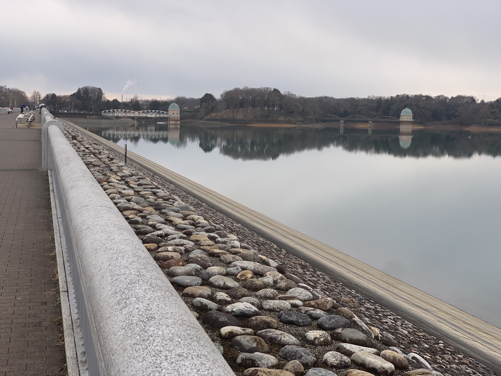 多摩湖 全周コースの写真7