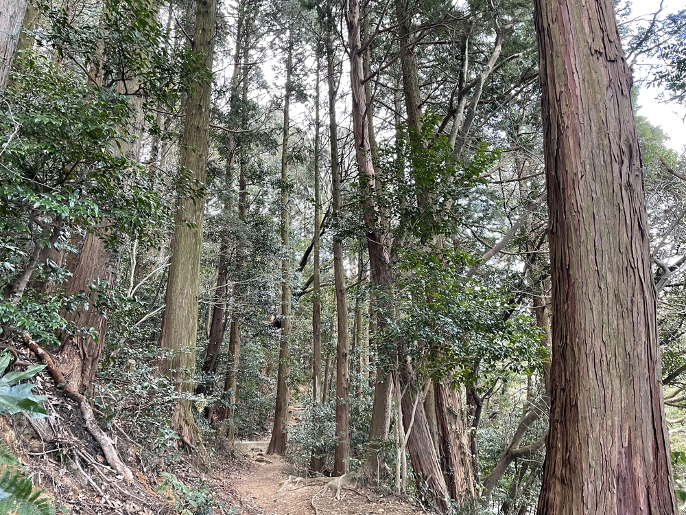 北九州ちょっと走ってきました:八幡東区編の写真13
