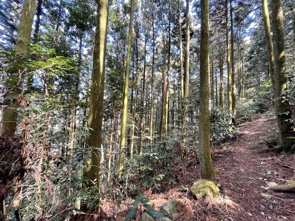 北九州ちょっと走ってきました:八幡東区編の写真14