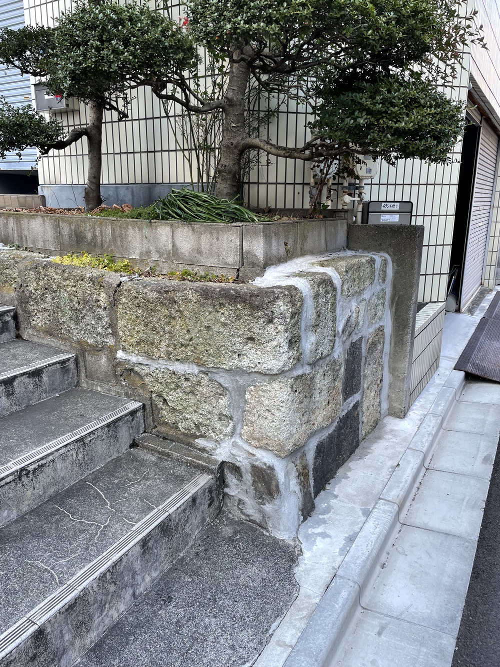 歌川広重と共にRUN 吉原の写真4