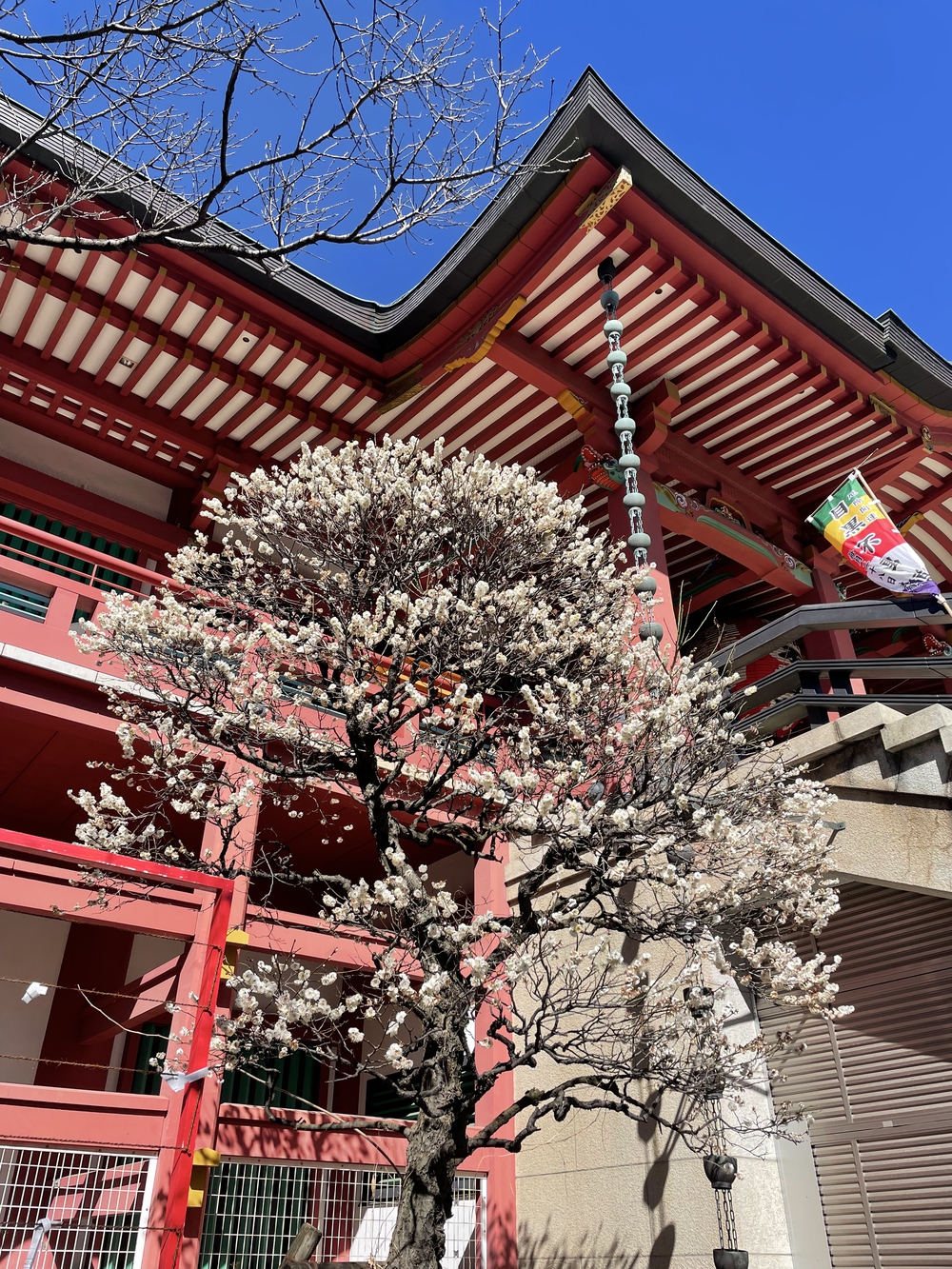 歌川広重と共にRUN 目黒不動尊の写真3