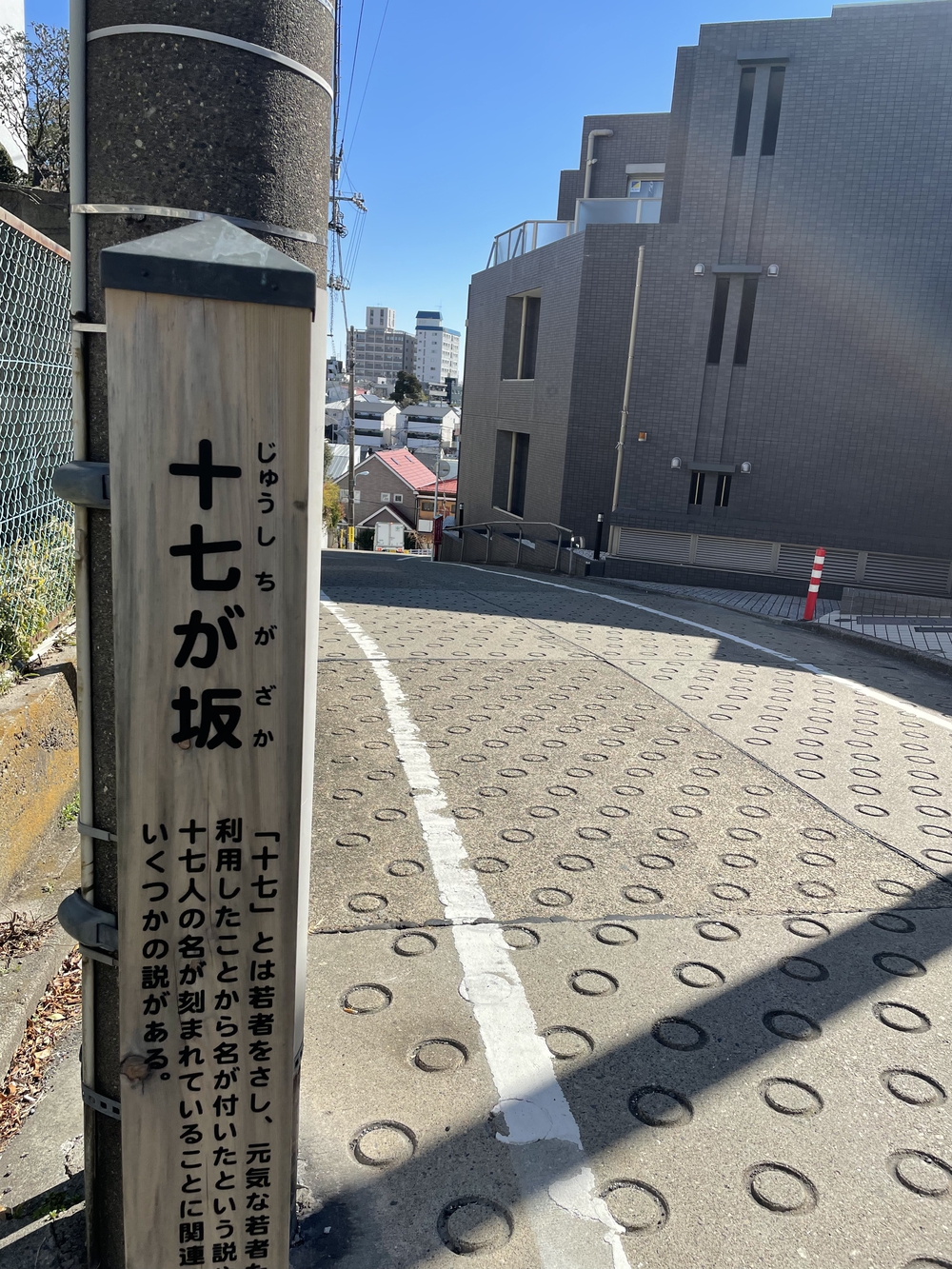 歌川広重と共にRUN 目黒不動尊の写真5