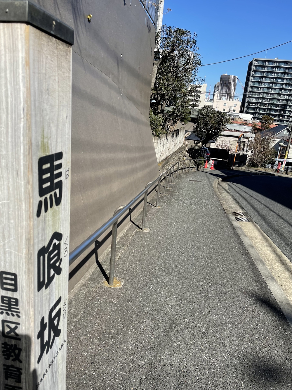 歌川広重と共にRUN 目黒不動尊の写真6