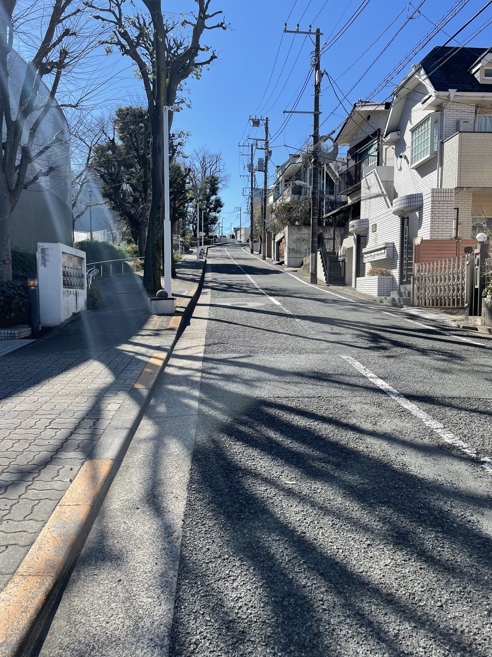 歌川広重と共にRUN 目黒不動尊の写真7