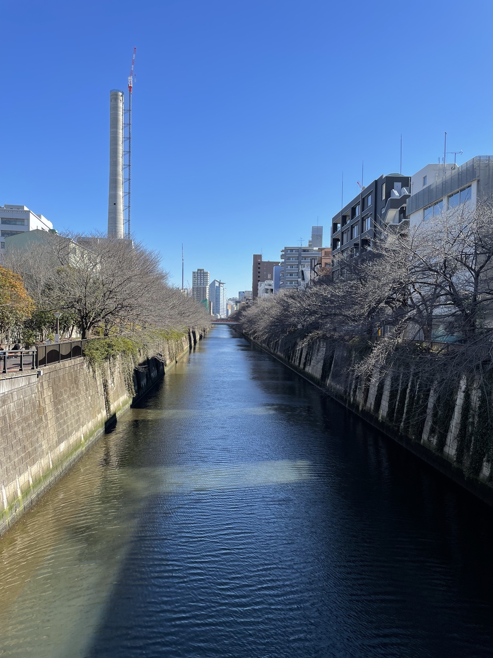 歌川広重と共にRUN 目黒不動尊の写真10