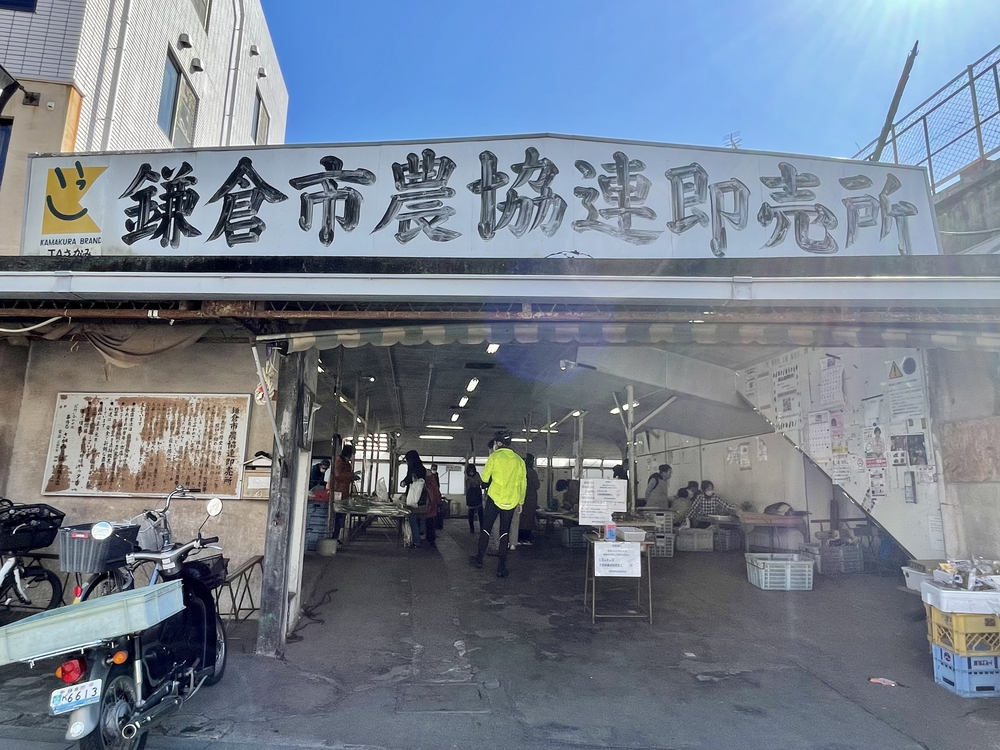 藤沢〜鎌倉：海と史跡の快適ウォーキングの写真9