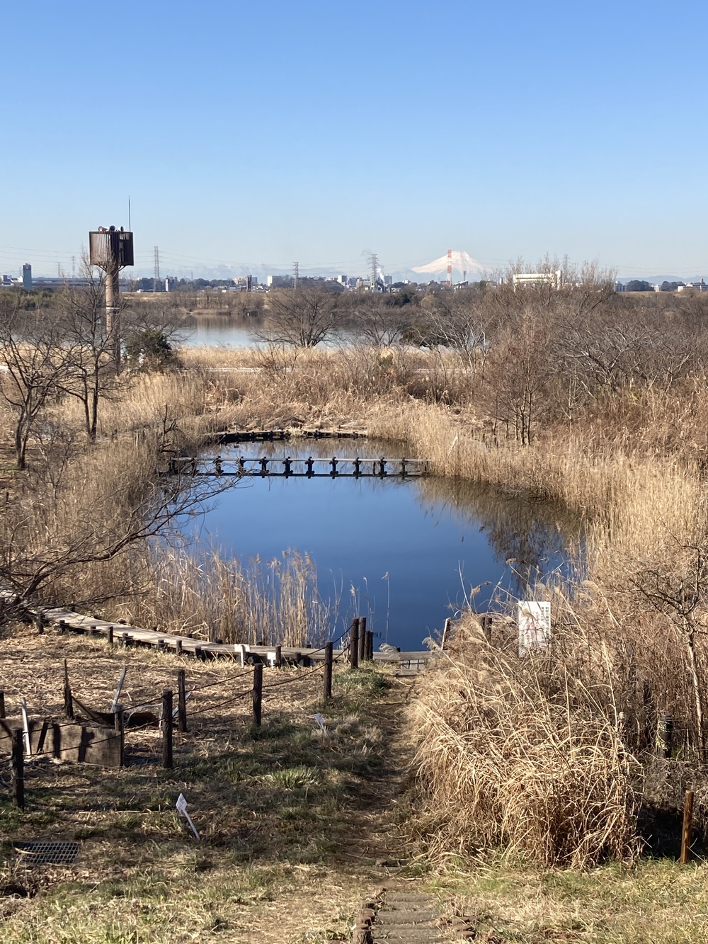彩湖&ミニ彩湖散策路コースの写真4