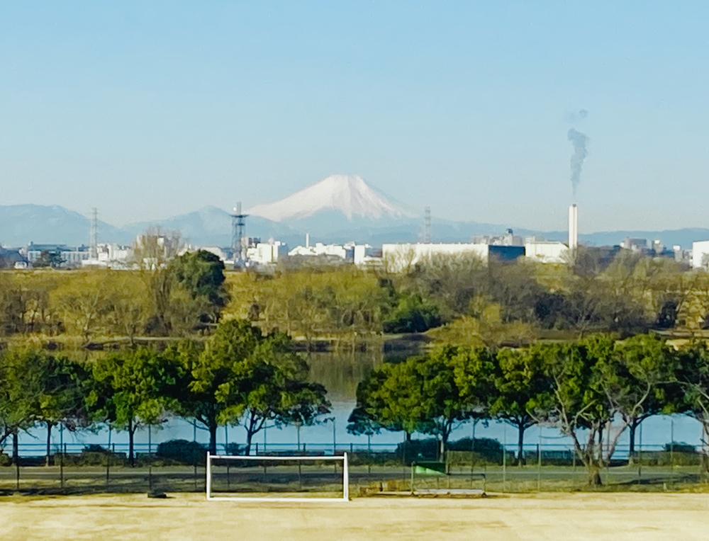 彩湖&ミニ彩湖散策路コースの写真8