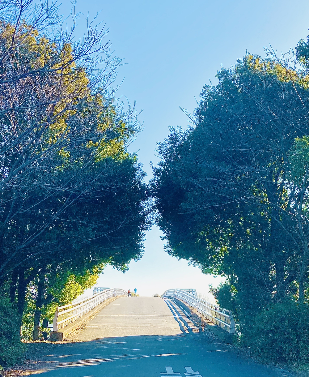 彩湖&ミニ彩湖散策路コースの写真9