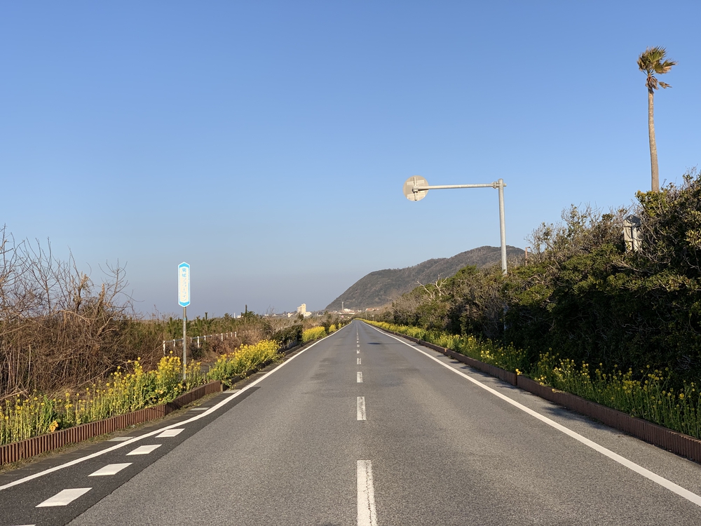 南房パラダイスから房総フラワーラインの写真4