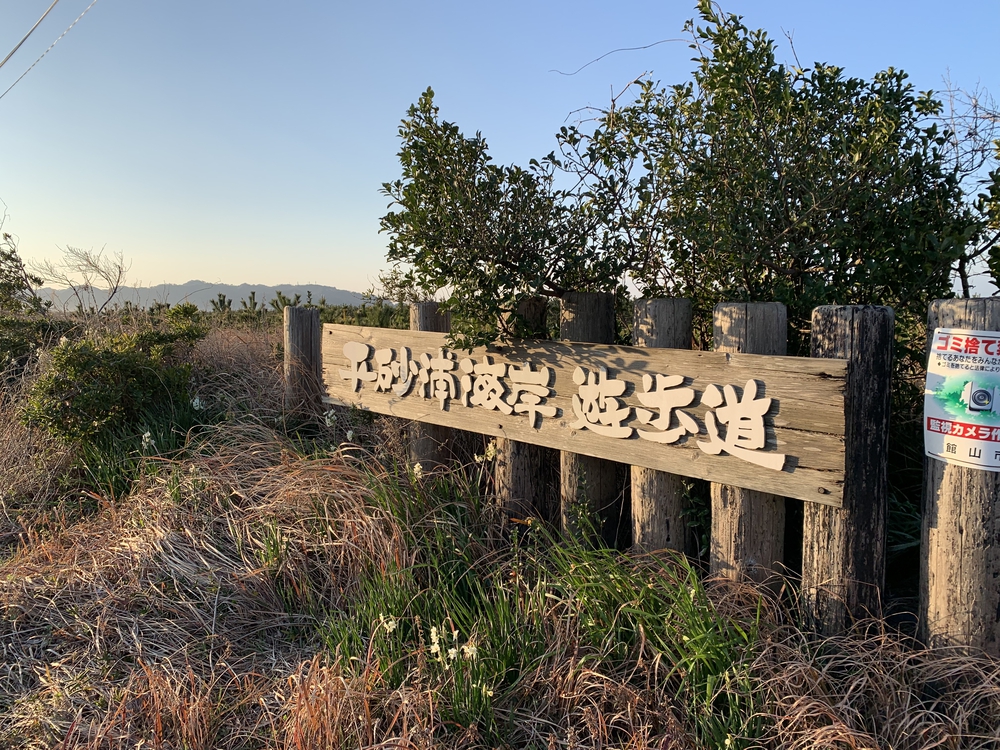 南房パラダイスから房総フラワーラインの写真5