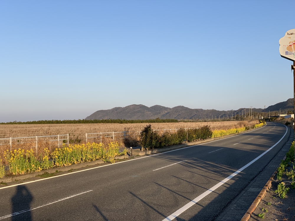 南房パラダイスから房総フラワーラインの写真7