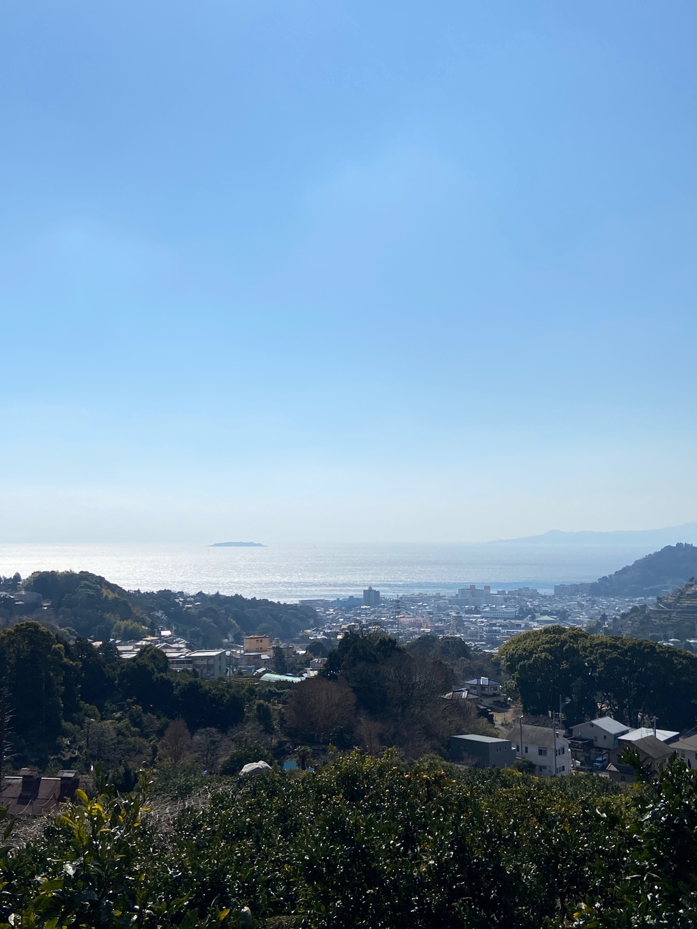 湯河原　幕山は梅🌺のお山⛰の写真3