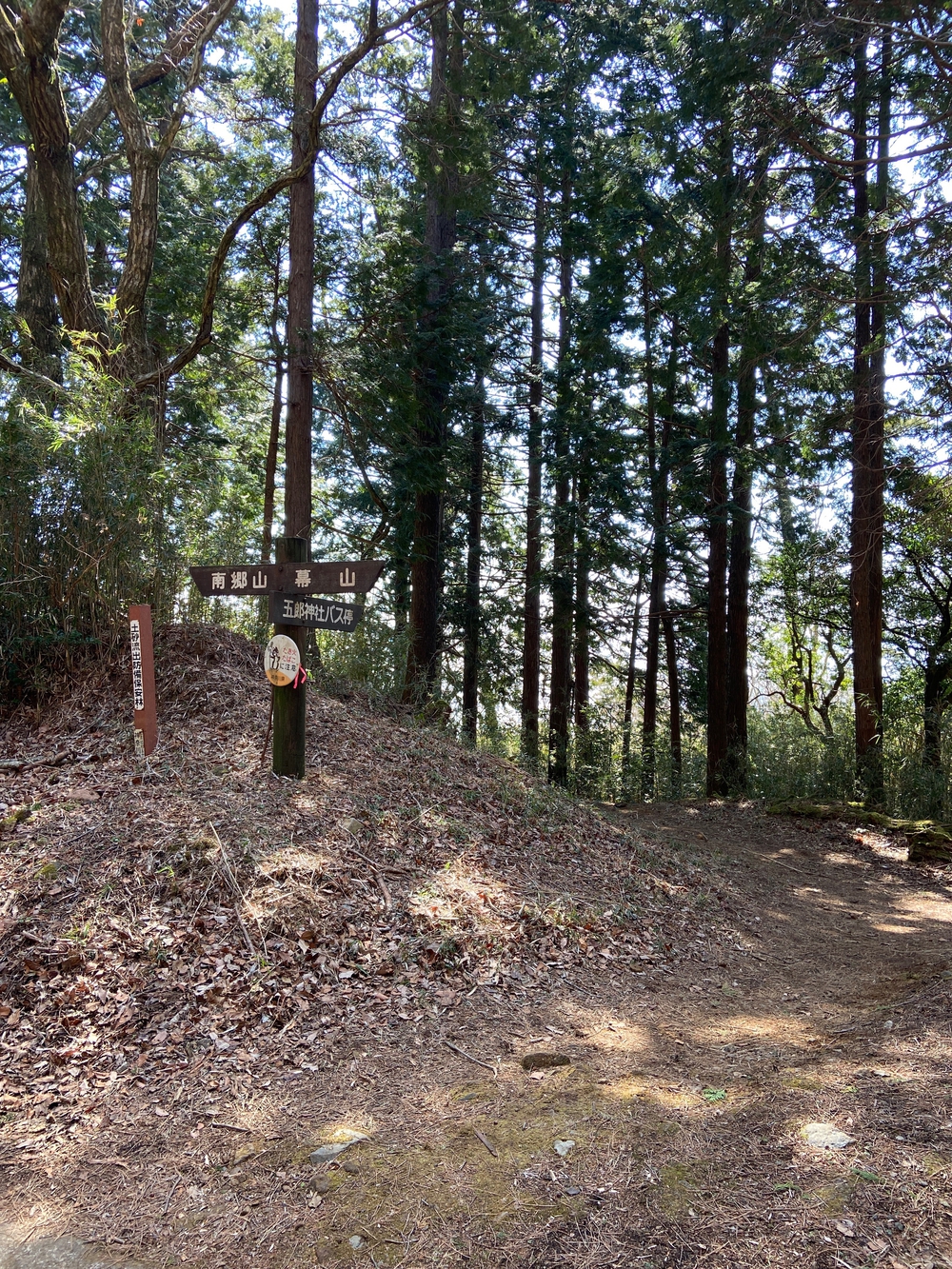 湯河原　幕山は梅🌺のお山⛰の写真6