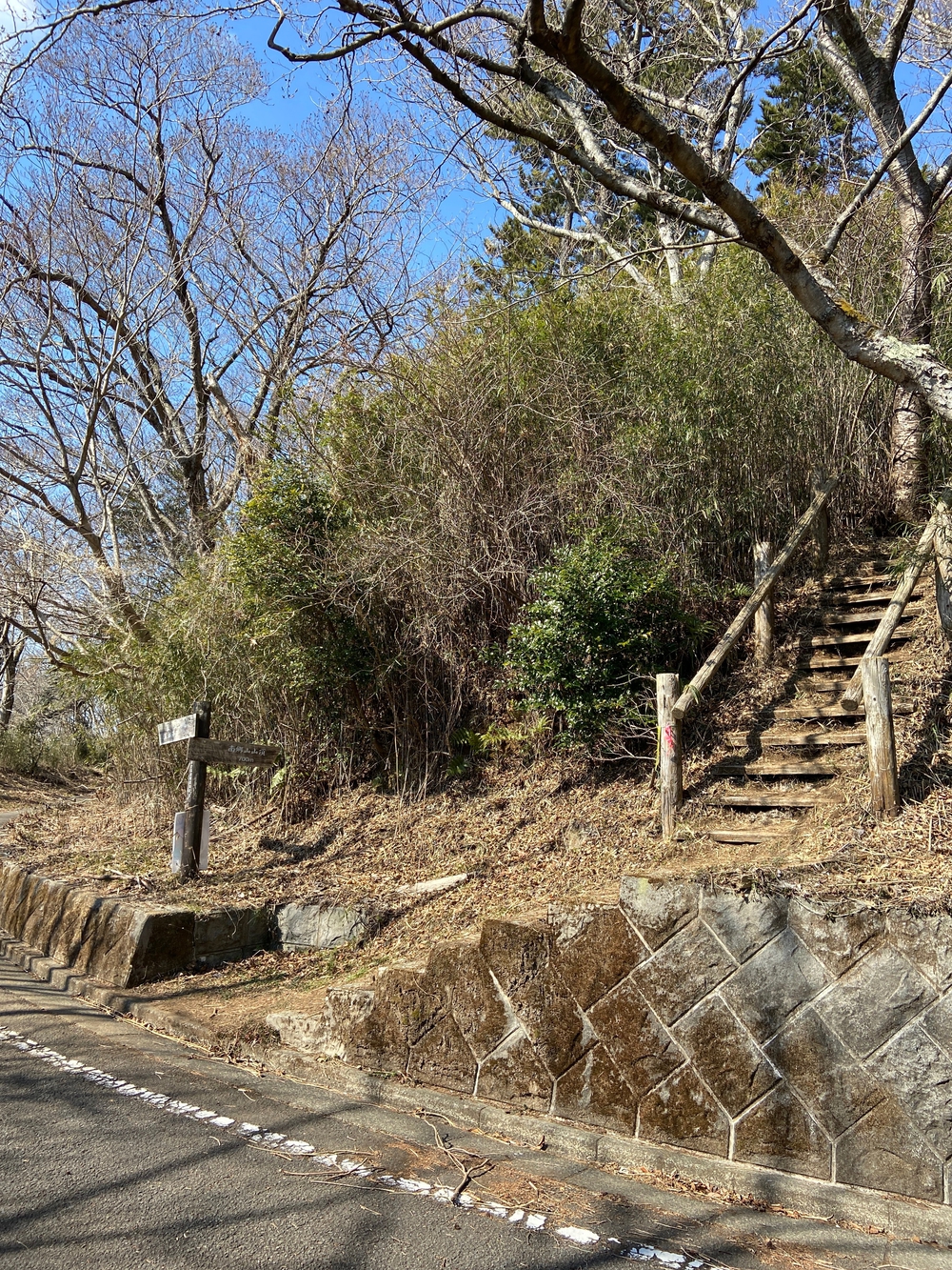 湯河原　幕山は梅🌺のお山⛰の写真7