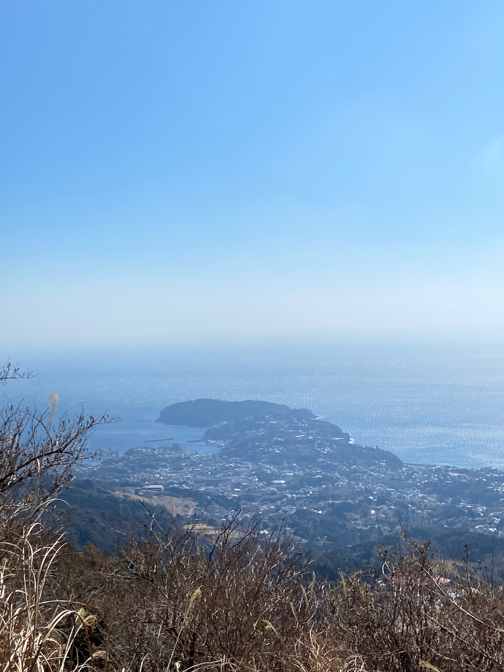 湯河原　幕山は梅🌺のお山⛰の写真8
