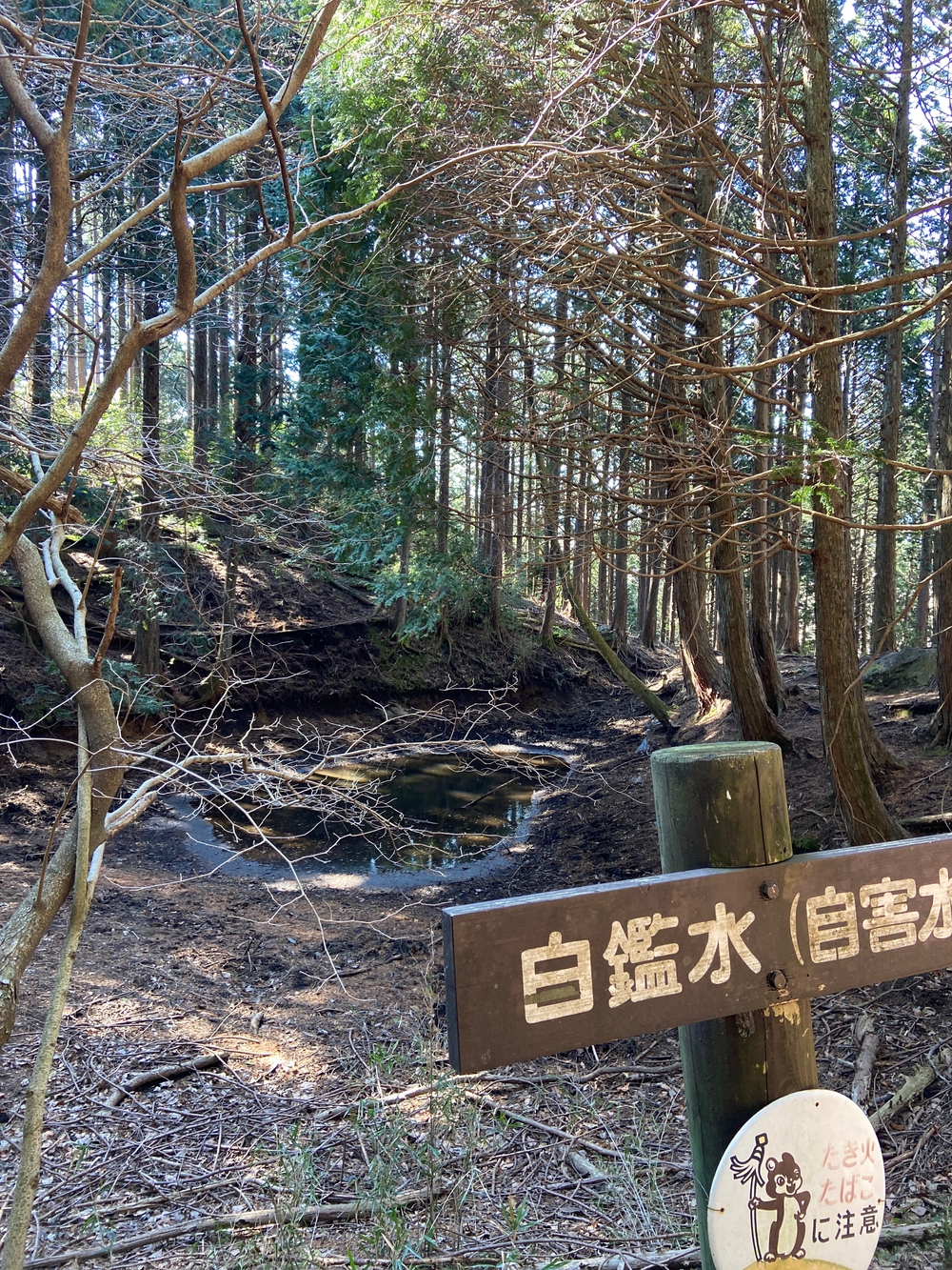 湯河原　幕山は梅🌺のお山⛰の写真10