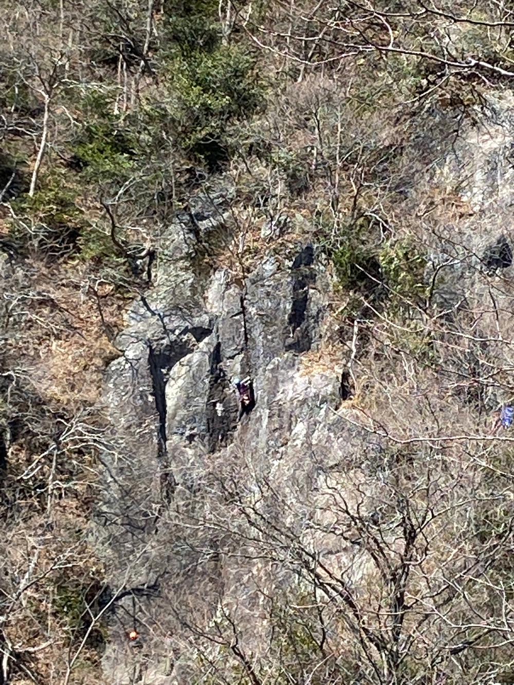 湯河原　幕山は梅🌺のお山⛰の写真14