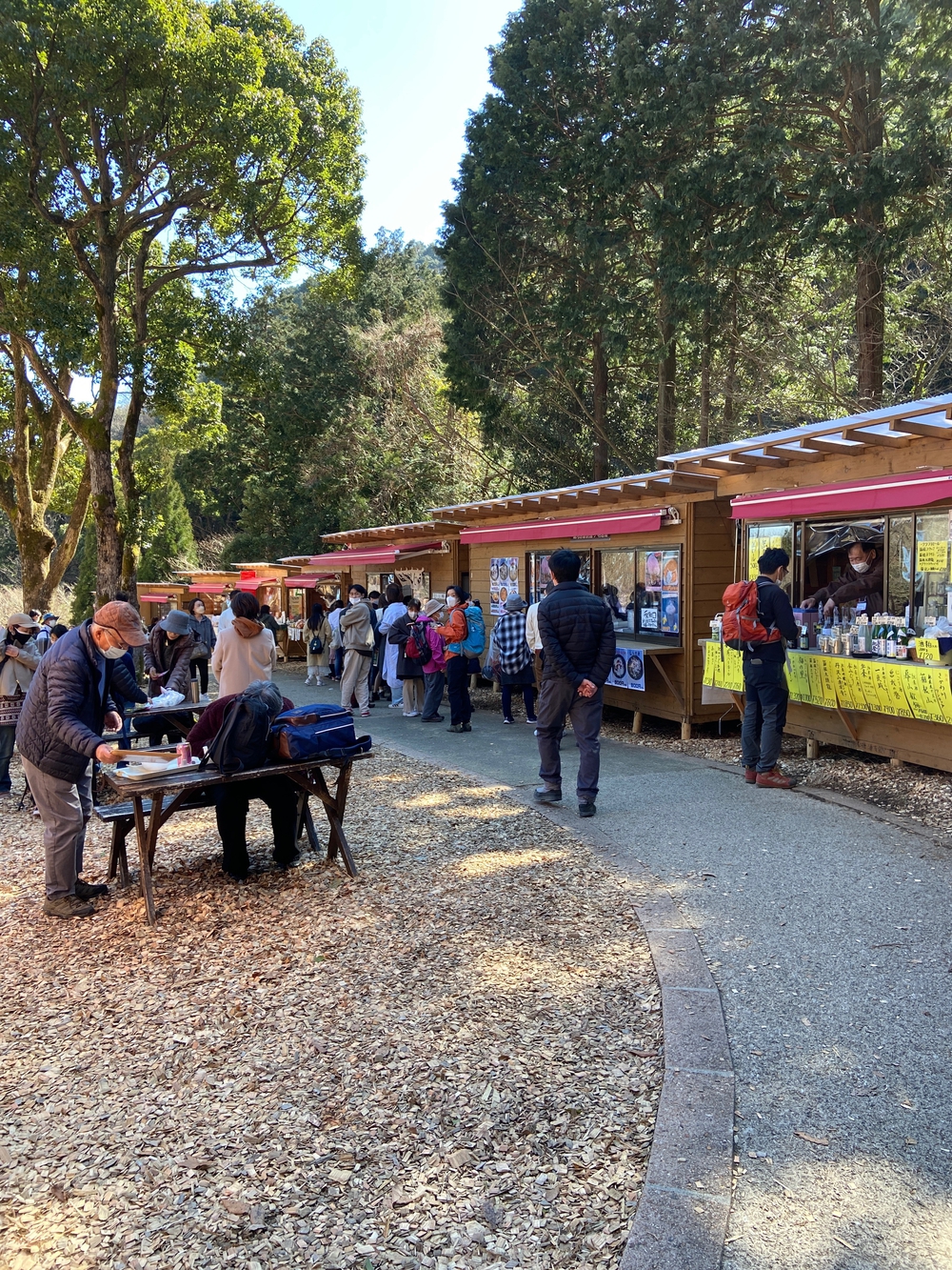 湯河原　幕山は梅🌺のお山⛰の写真21
