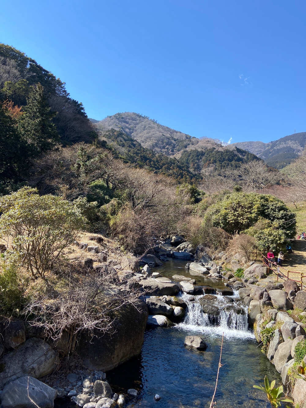 湯河原　幕山は梅🌺のお山⛰の写真23