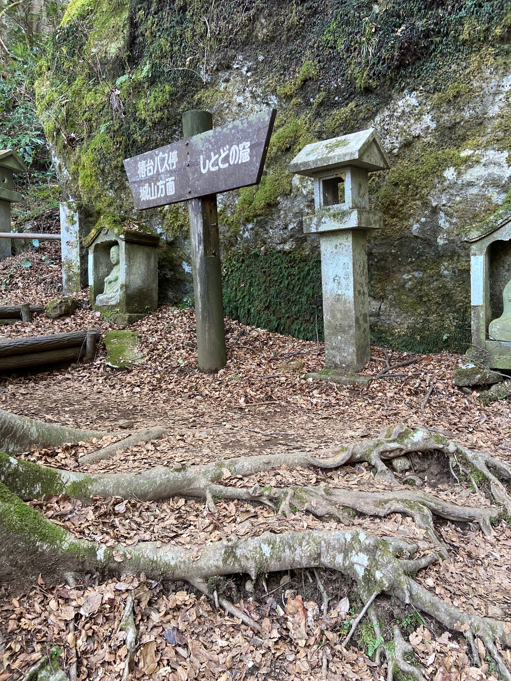 湯河原　幕山は梅🌺のお山⛰の写真26