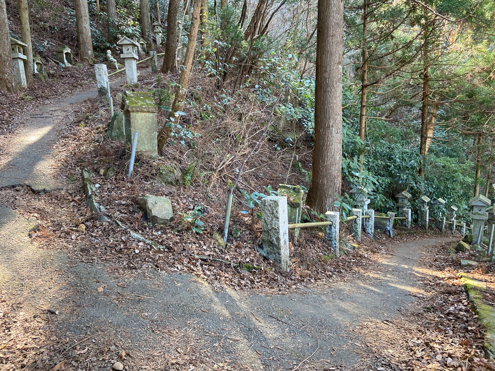 湯河原　幕山は梅🌺のお山⛰の写真28