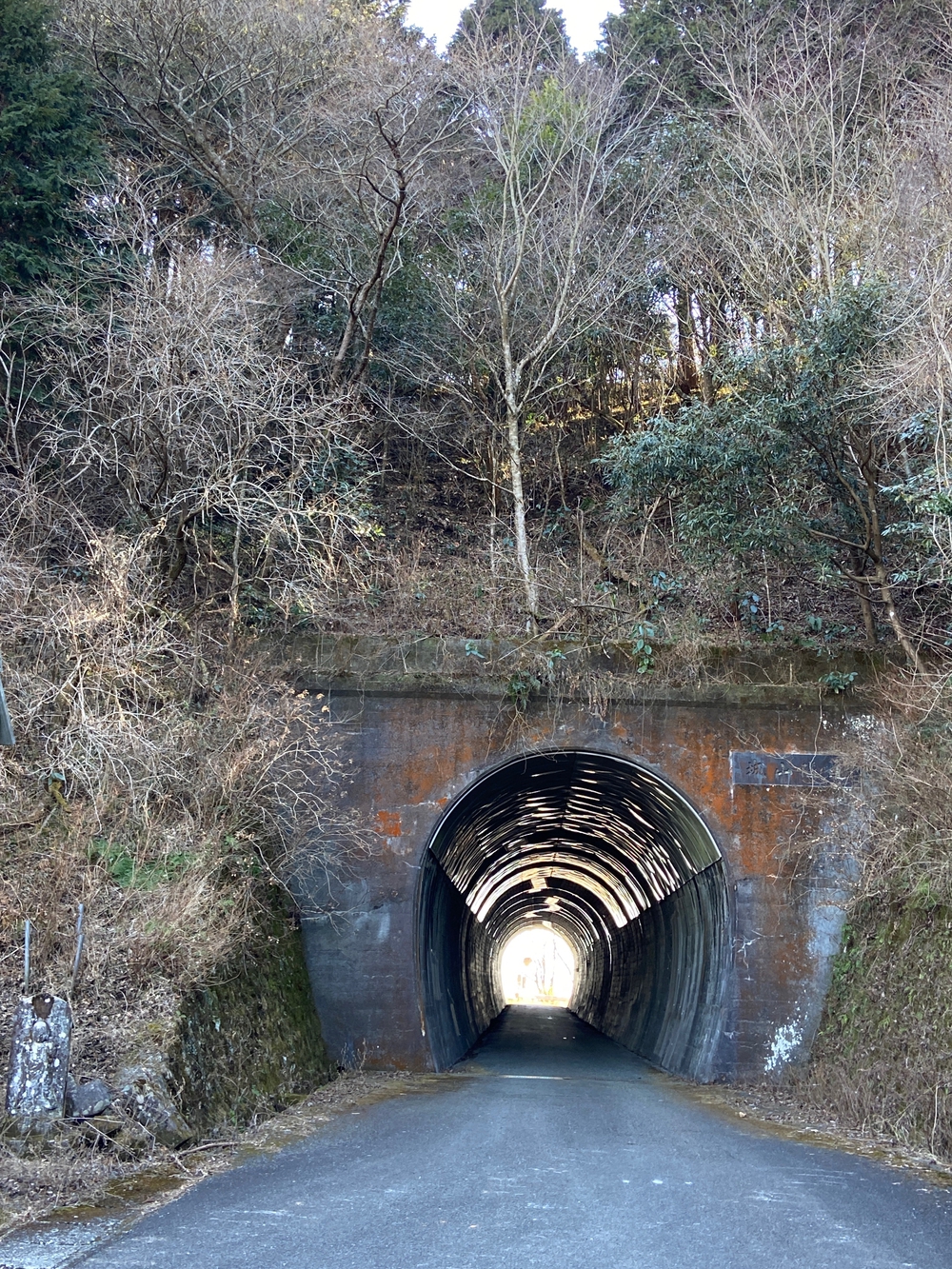 湯河原　幕山は梅🌺のお山⛰の写真29