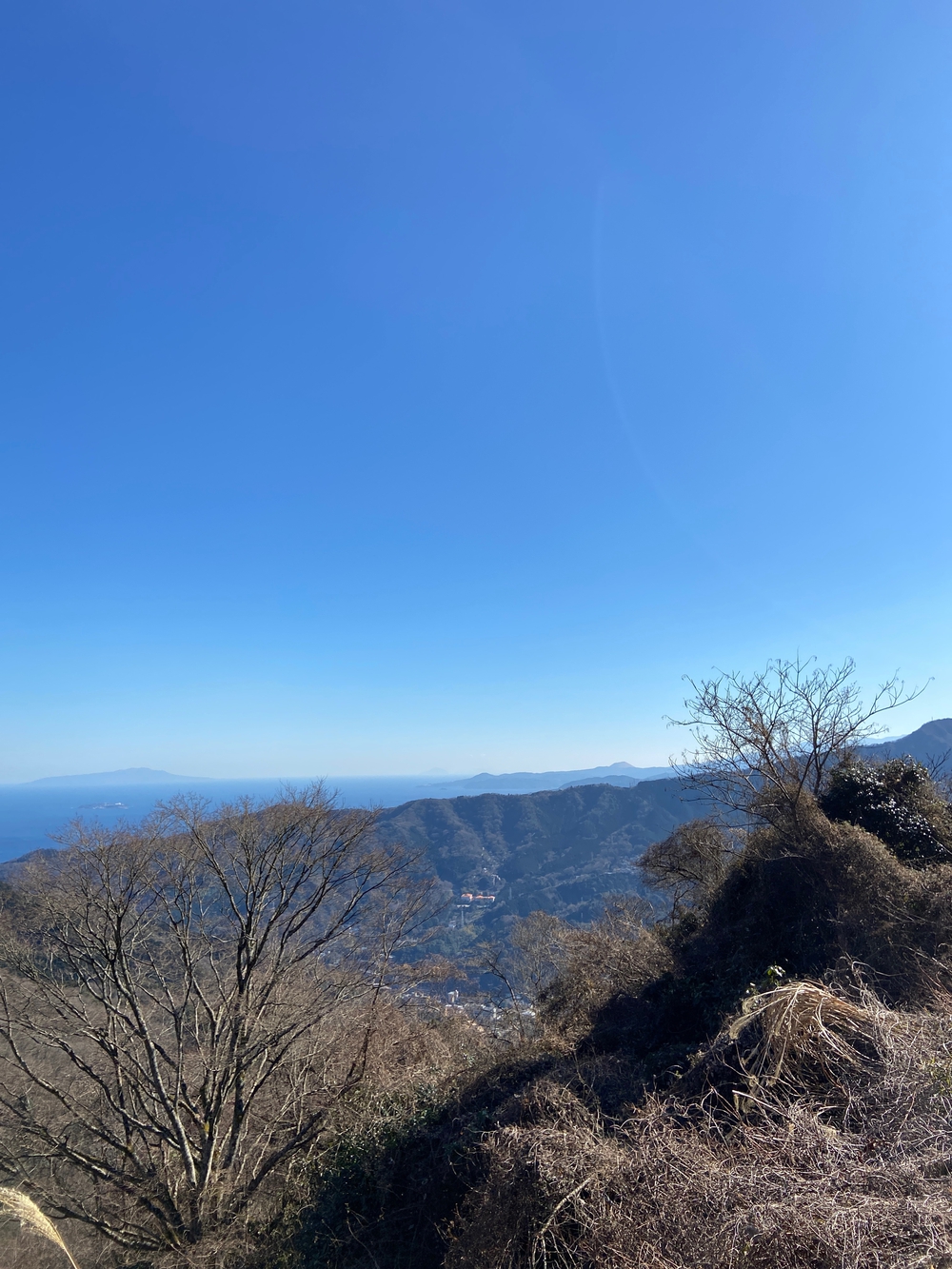 湯河原　幕山は梅🌺のお山⛰の写真31