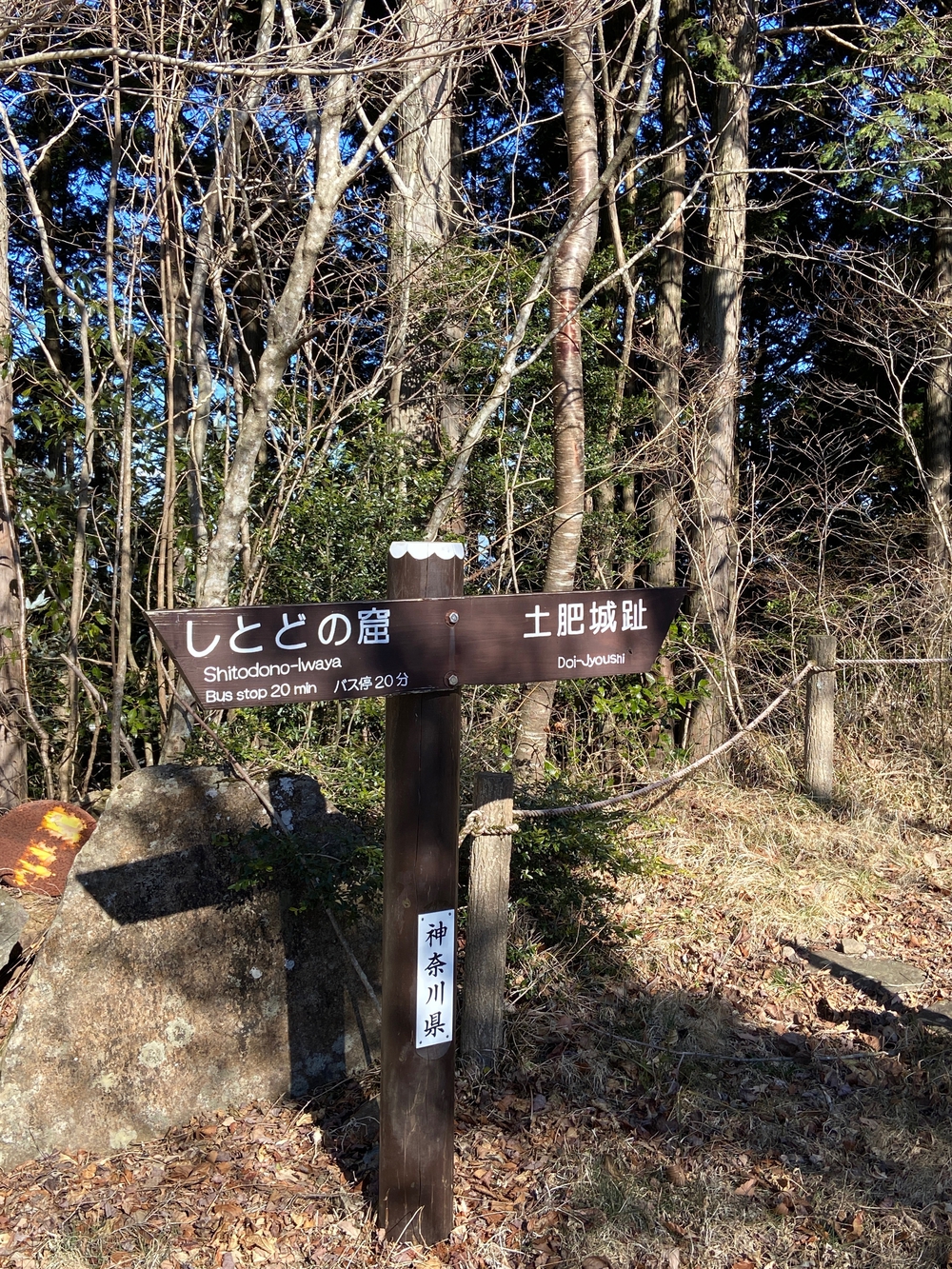 湯河原　幕山は梅🌺のお山⛰の写真32