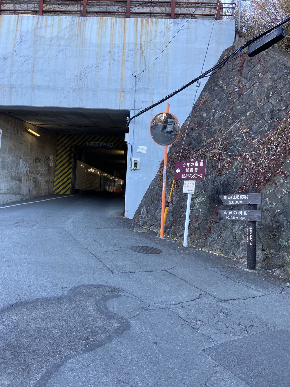 湯河原　幕山は梅🌺のお山⛰の写真41
