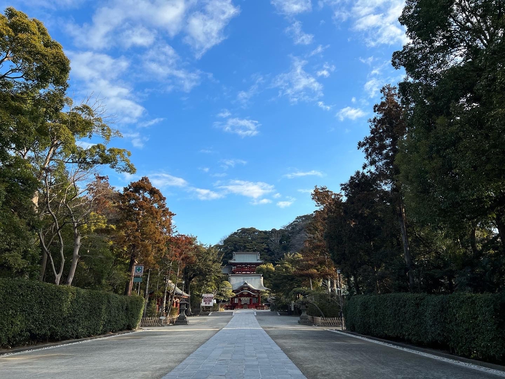 シーサイドランⅢ  江ノ島　鶴岡八幡宮　往復の写真5