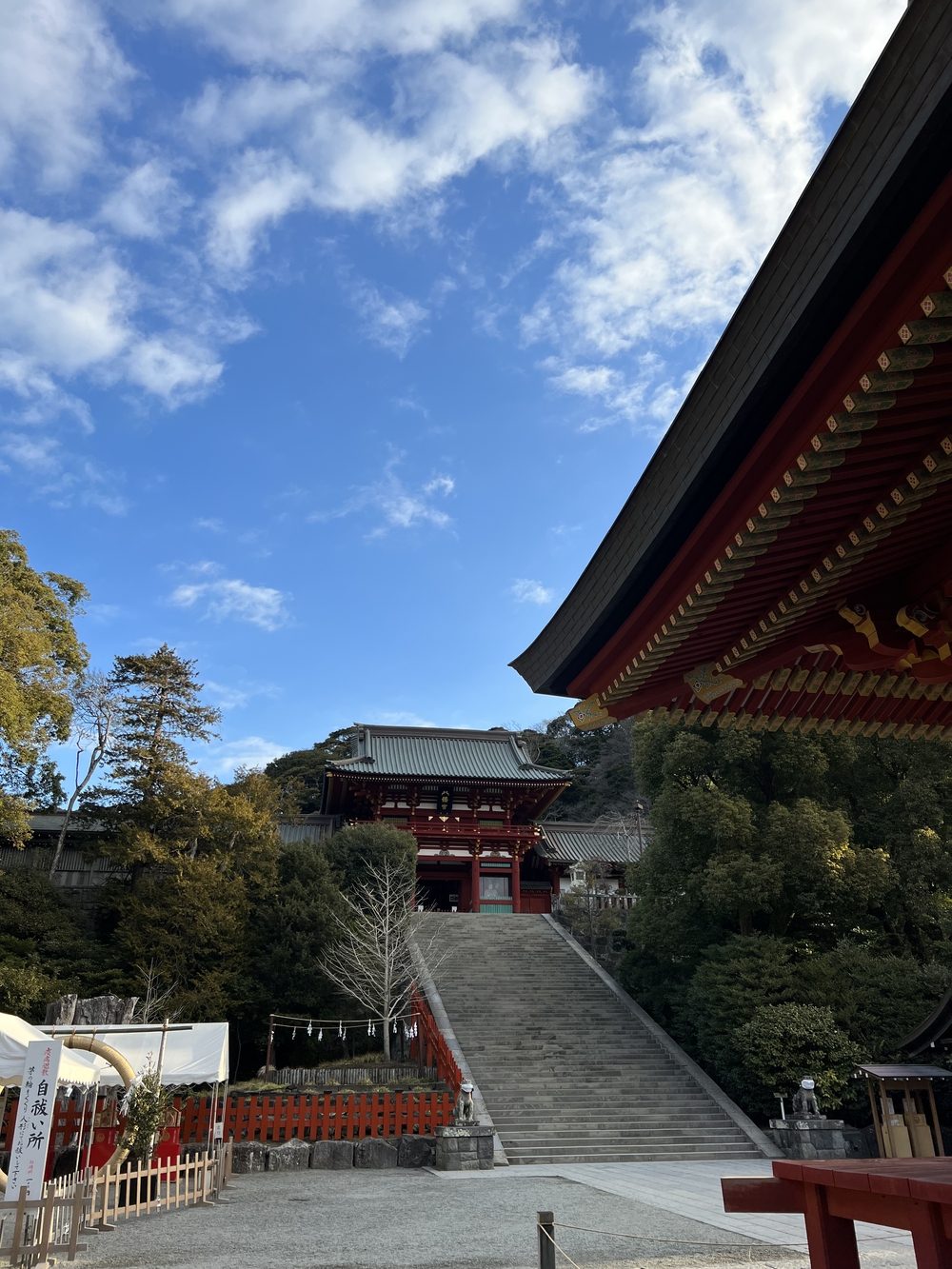 シーサイドランⅢ  江ノ島　鶴岡八幡宮　往復の写真6