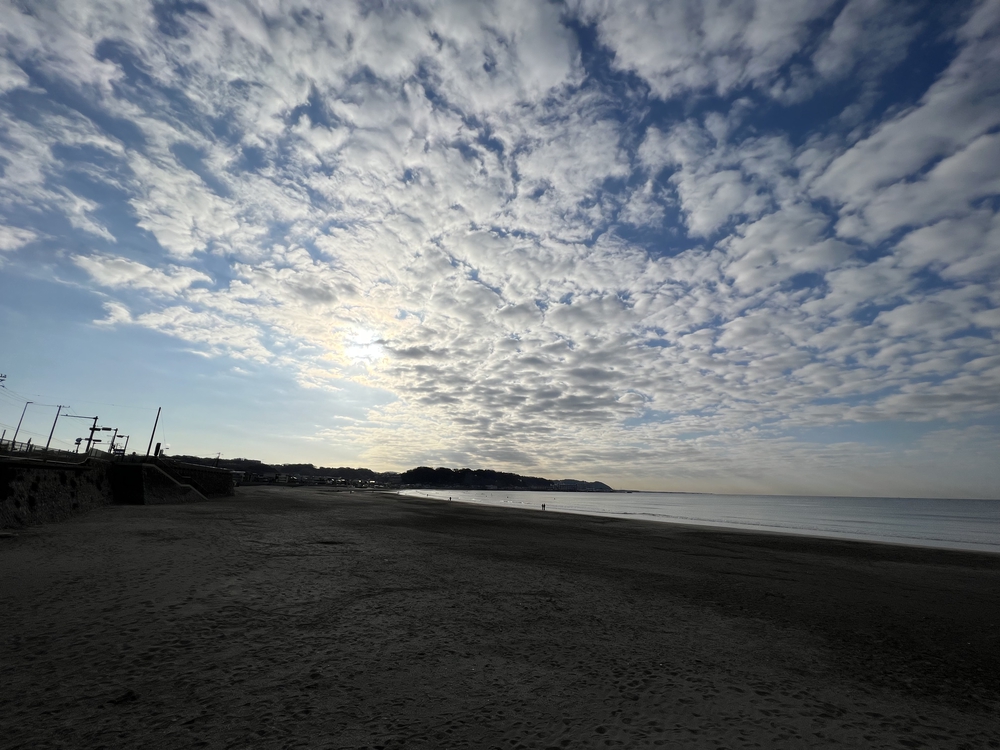 シーサイドランⅢ  江ノ島　鶴岡八幡宮　往復の写真7