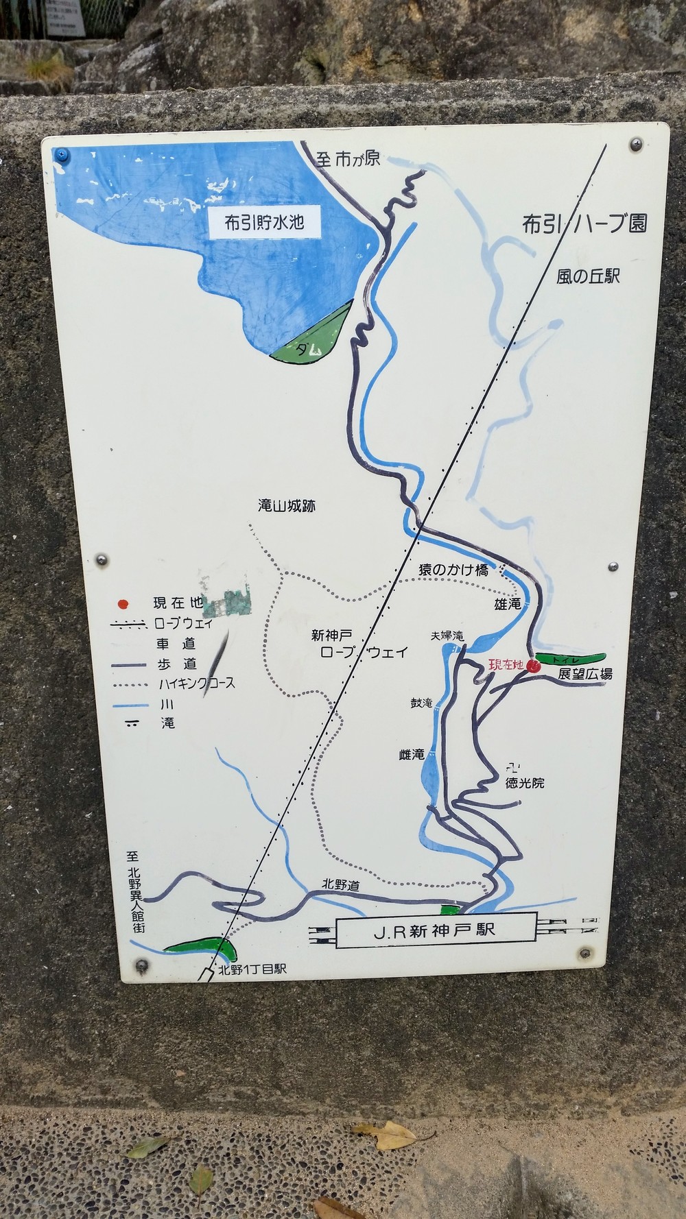 【出張朝ラン】神戸マイナスイオン浴びまくりプチトレラン14kmの写真6