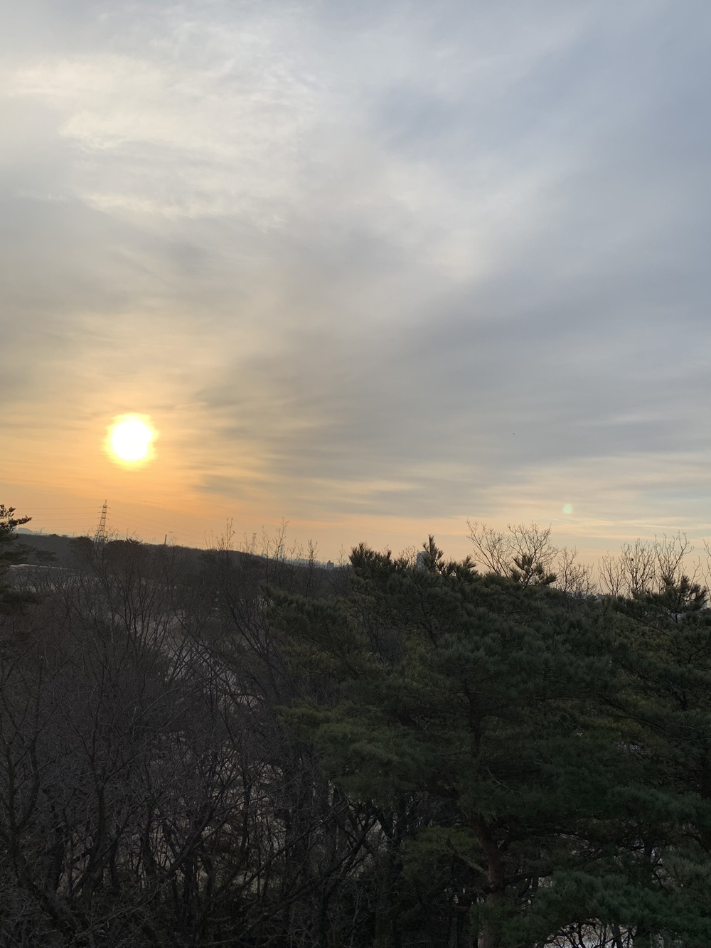 【トレイル】狭山丘陵周遊の写真3