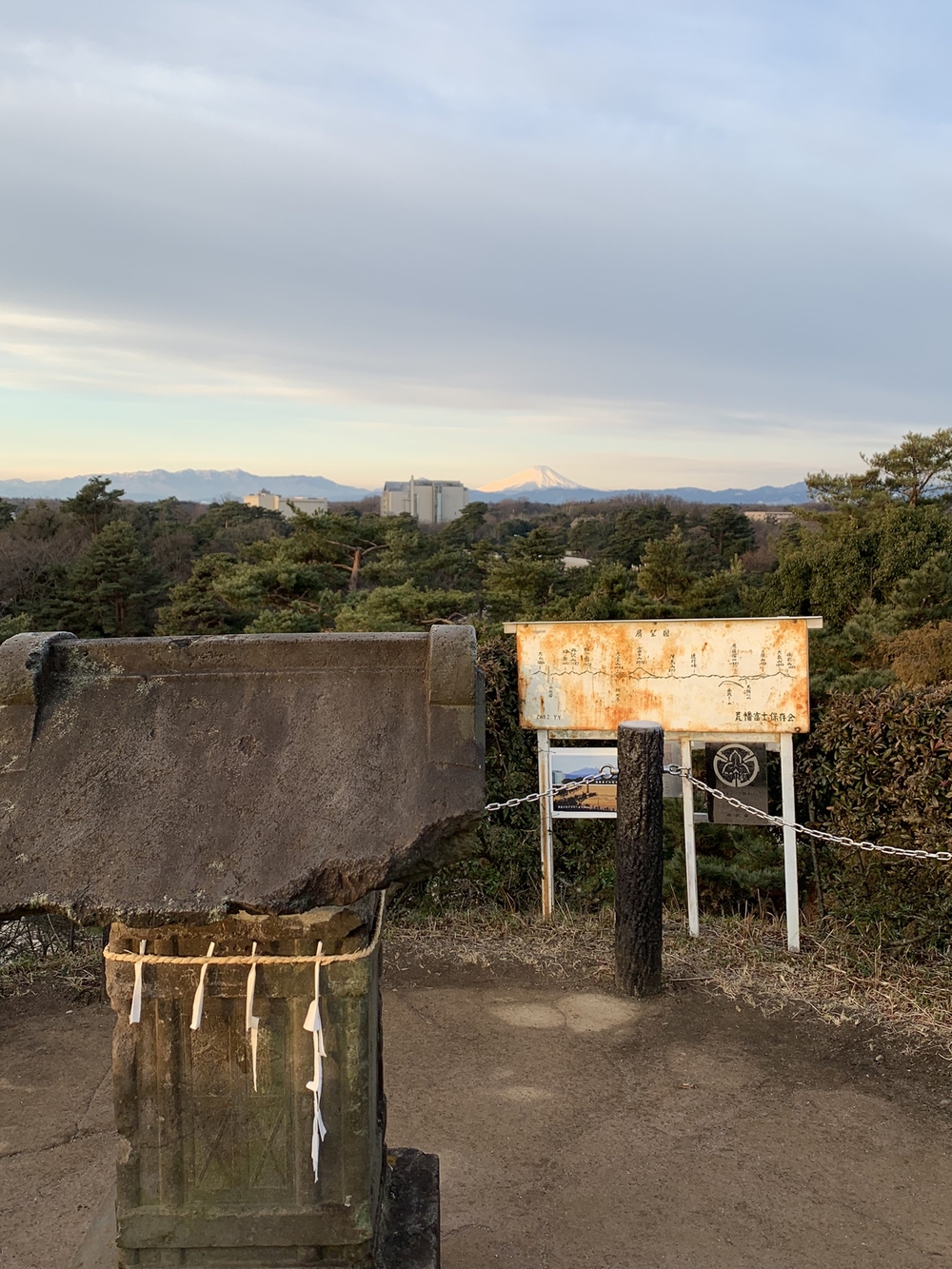 【トレイル】狭山丘陵周遊の写真4