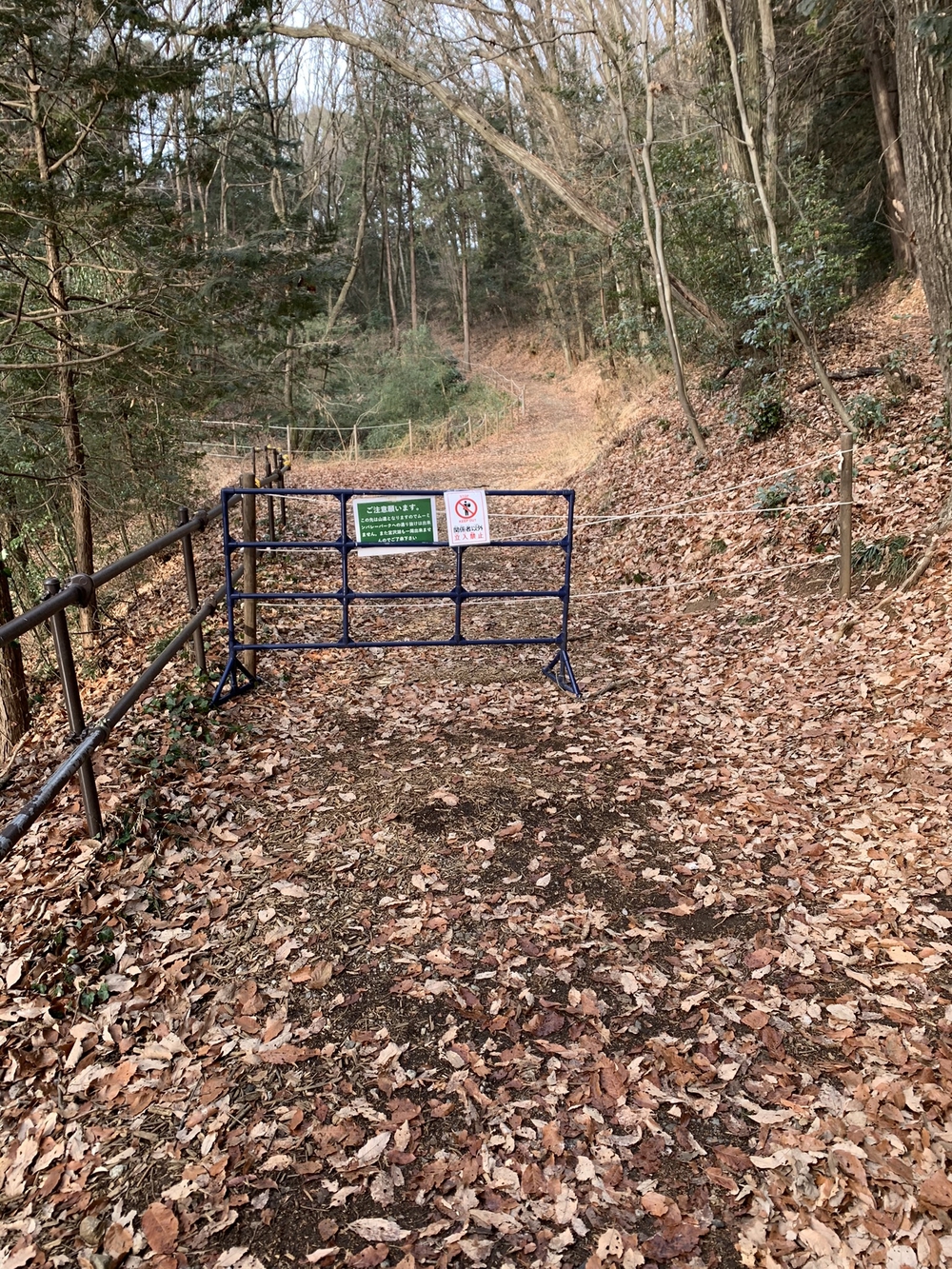 【トレイル】宮沢湖周回の写真3