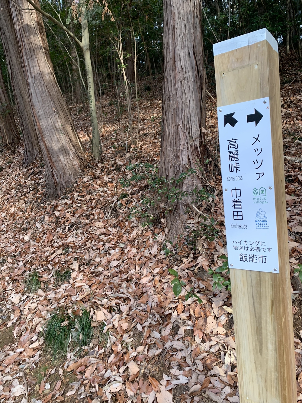 【トレイル】宮沢湖周回の写真4