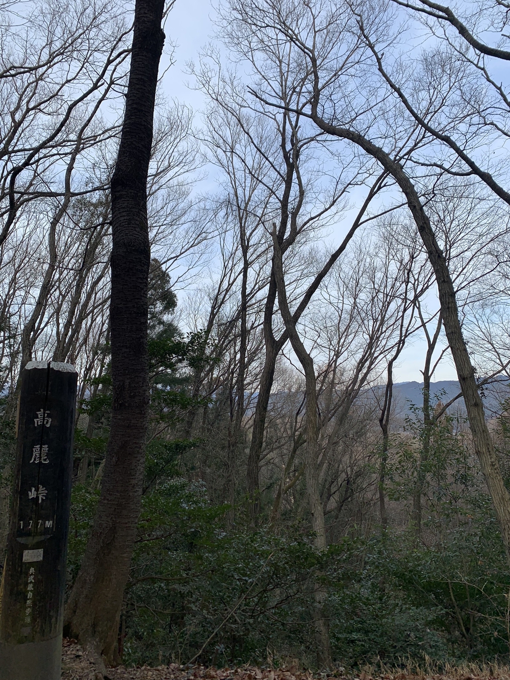 【トレイル】宮沢湖周回の写真7