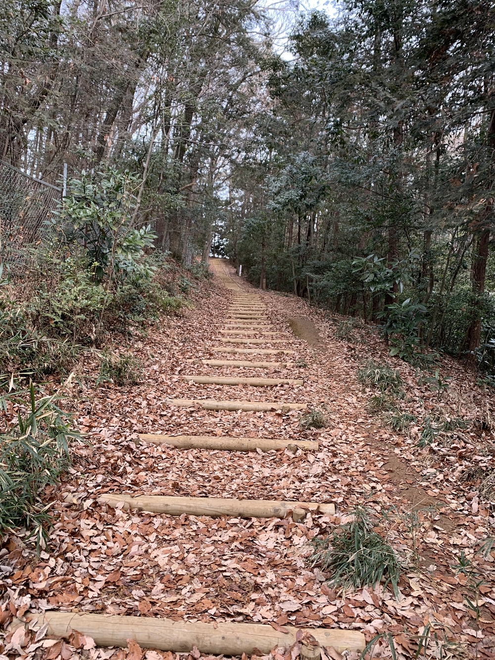 【トレイル】宮沢湖周回の写真8