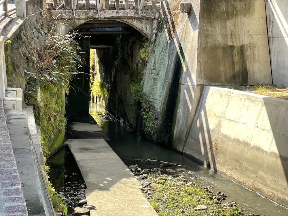 福岡ちょっと走ってきました:中間編の写真10