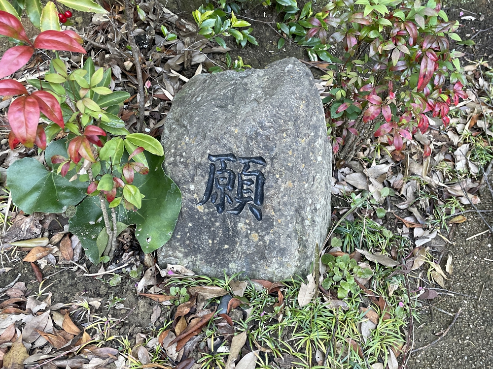 福岡ちょっと走ってきました:中間編の写真18