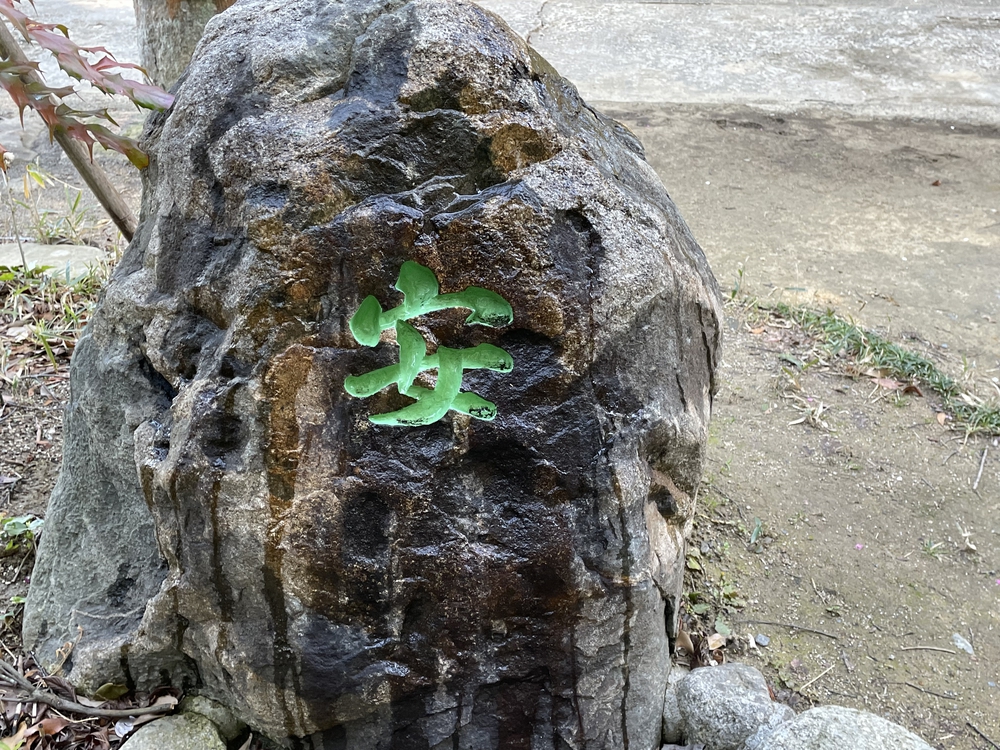 福岡ちょっと走ってきました:中間編の写真19