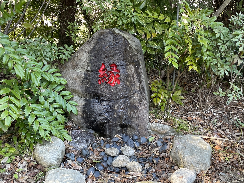 福岡ちょっと走ってきました:中間編の写真20