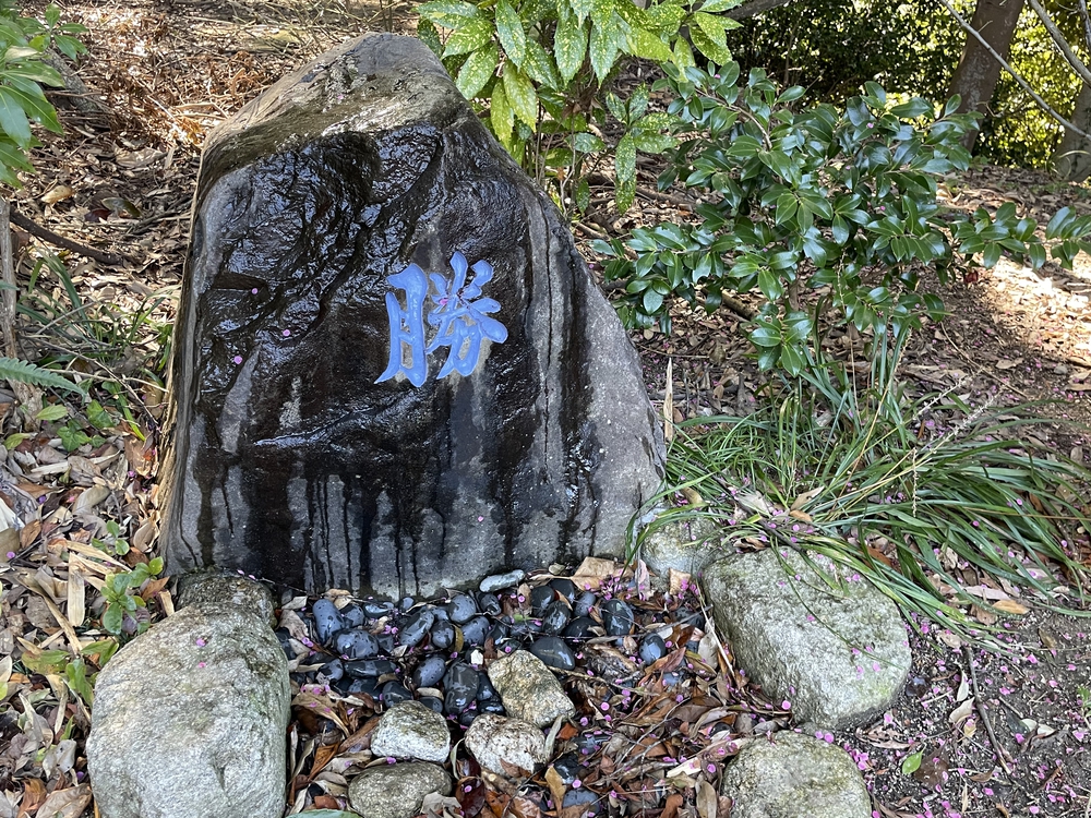 福岡ちょっと走ってきました:中間編の写真22