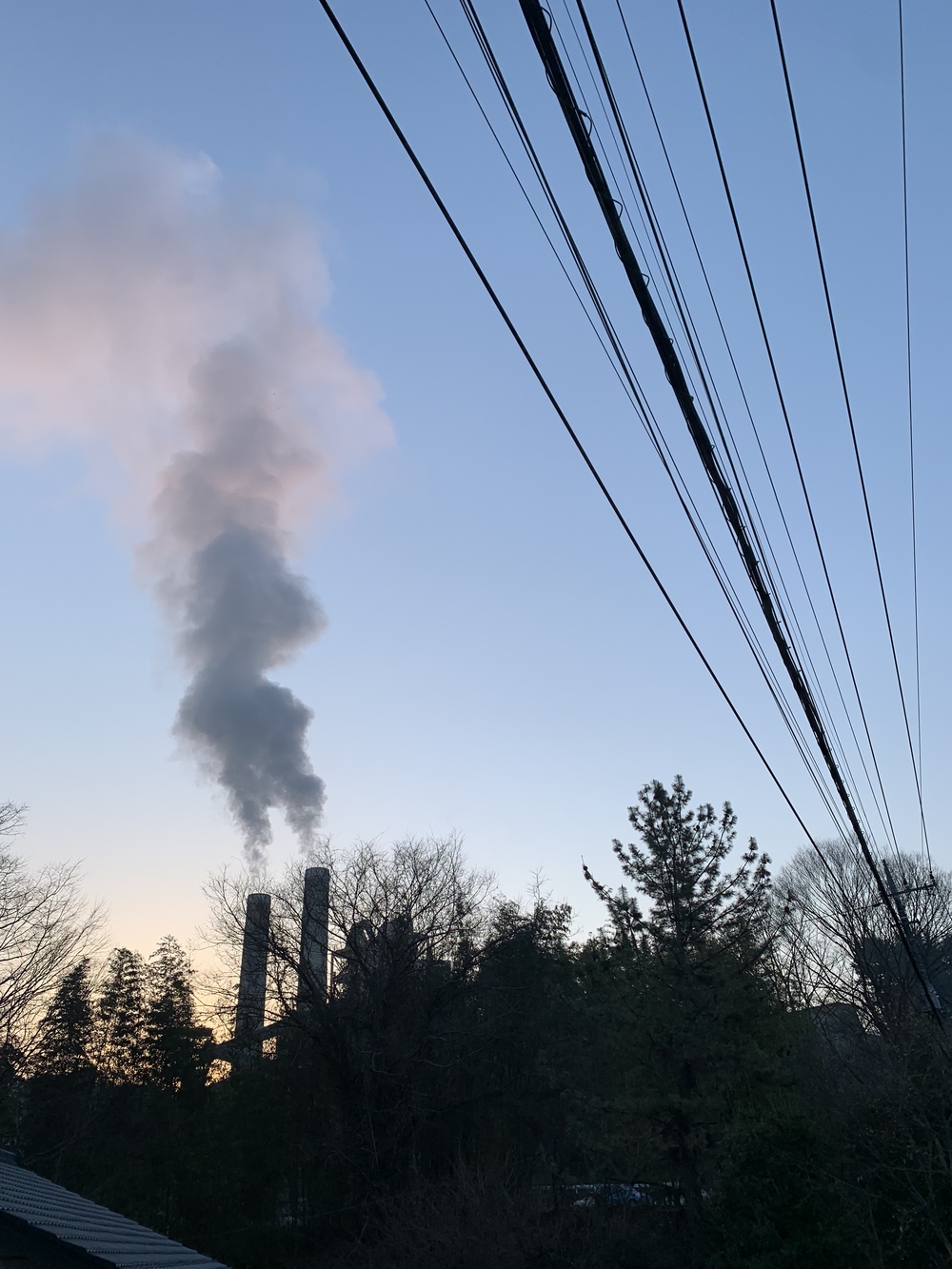 【トレイル】武甲山1wayの写真3